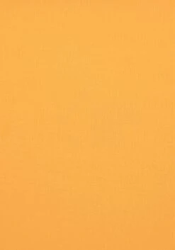 S.Oliver Bikini-Hose »Rome«, Mit Umschlagbund 38 S.Oliver Bikini-Hose »Rome«, Mit Umschlagbund -Bikini Mode Geschaft b215d54fc5e8a58026542cabc62ea399