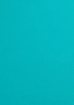 Bruno Banani Badeanzug, Mit Silberfarbenem Accessory -Bikini Mode Geschaft 46c8fc3f878371303d0552ee85bcb80a