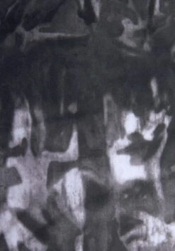 Venice Beach Badeanzug »Luna«, Seitlich Zu Raffen -Bikini Mode Geschaft 8ab0ada47fd624901e2cb3b366b782ba