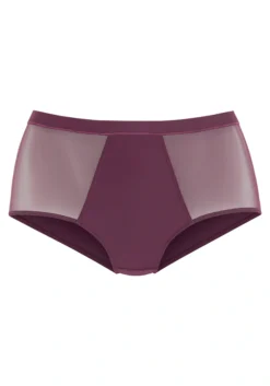 Nuance Slip, Mit Seitlichen Mesh-Einsätzen -Bikini Mode Geschaft 92ebc0c028e0e6ed105dcefc5df8bf01