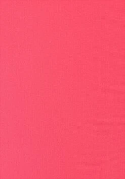 Buffalo Push-Up-Bikini, Mit Geflochtenem Rückendetail -Bikini Mode Geschaft 9467fa955f5dad5c6f5b10d3713d23d8