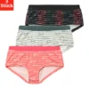 Bench. Panty, (Packung, 3 St.), Mit Breitem Bündchen 2 Bench. Panty, (Packung, 3 St.), Mit Breitem Bündchen -Bikini Mode Geschaft b86127d14ac5b5387aa02ab9c45c1aa8