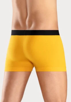 Bruno Banani Boxer, (Packung, 5 St.), Mit Streifen Logo Webbund -Bikini Mode Geschaft d13ad542d256f30bc8dc8468903b66a5